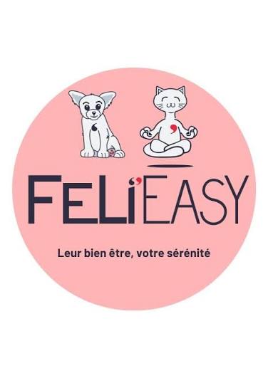 Feli'easy